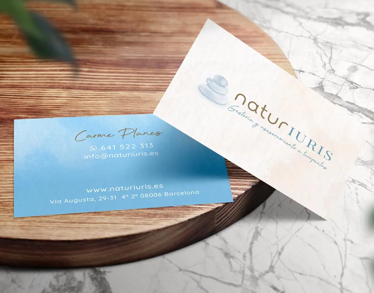 Portfolio diseño tarjeta Naturiuris